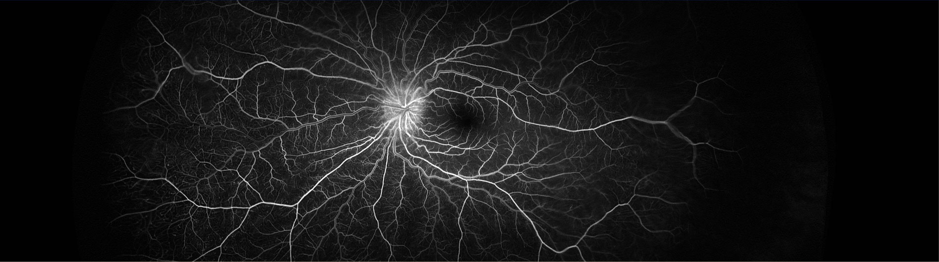 Slide Image for Compassionate Care for Your Vision & Eye Health